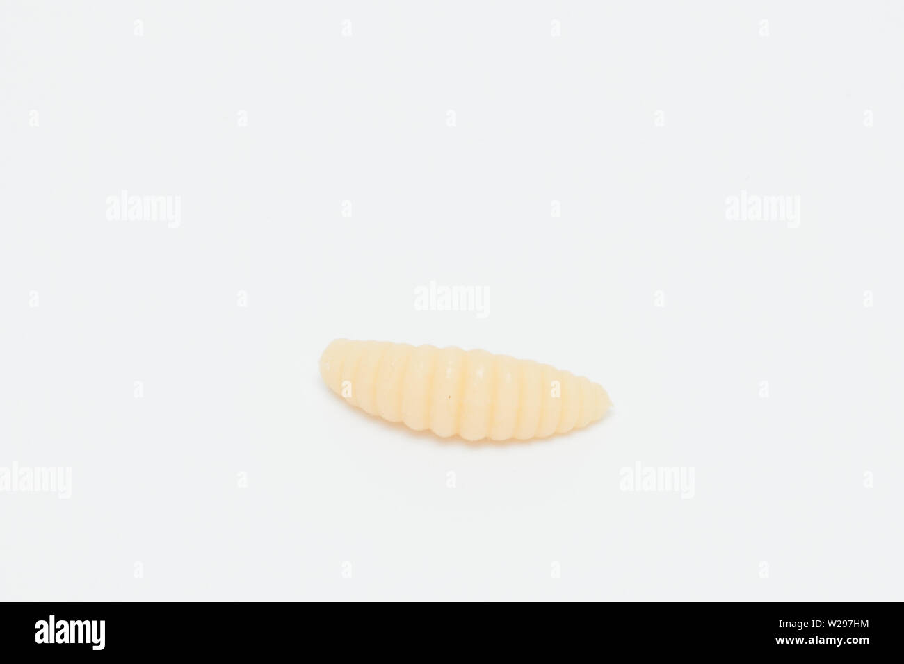 Artificial fishing larvae of insects on white background with soft shadow. Stock Photo