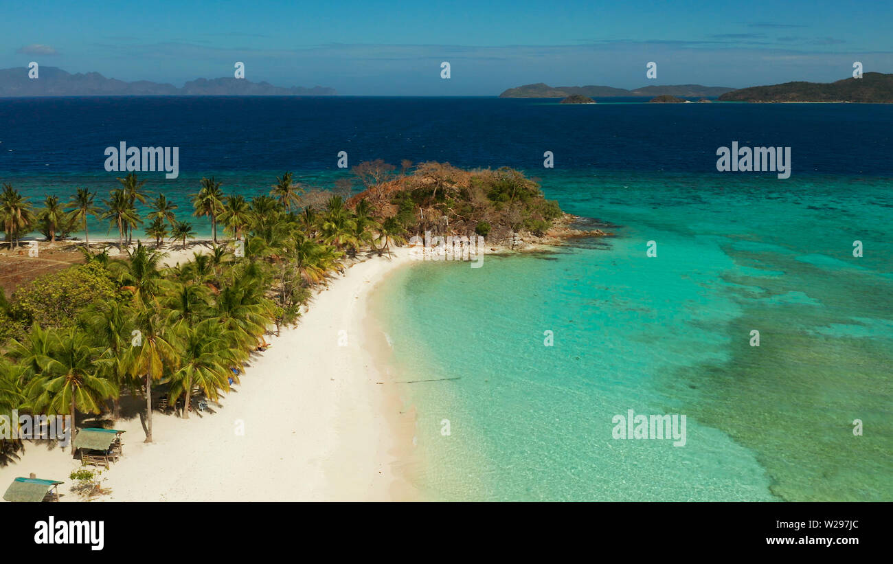 aerial view tropical island with sand white beach, palm trees ...