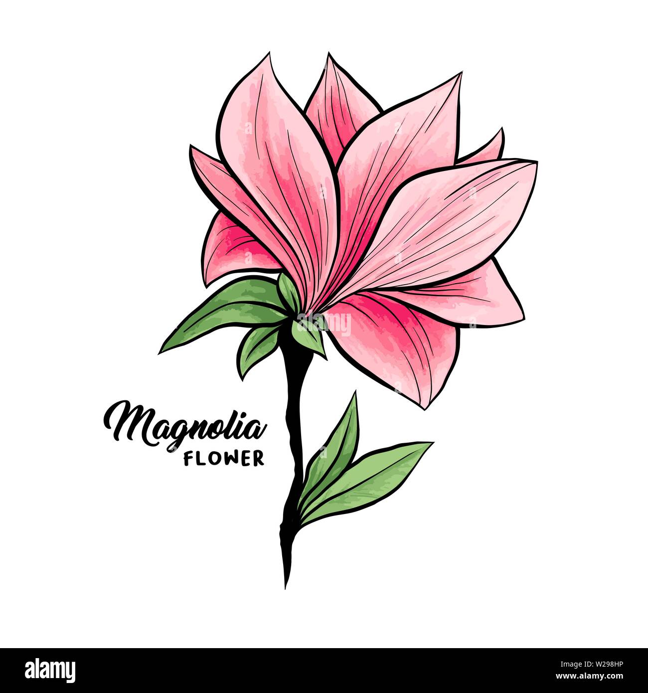 Clip Art How To Draw A Magnolia Flower - Magnolia Flower Drawing Easy, HD  Png Download , Transparent Png Image - PNGitem