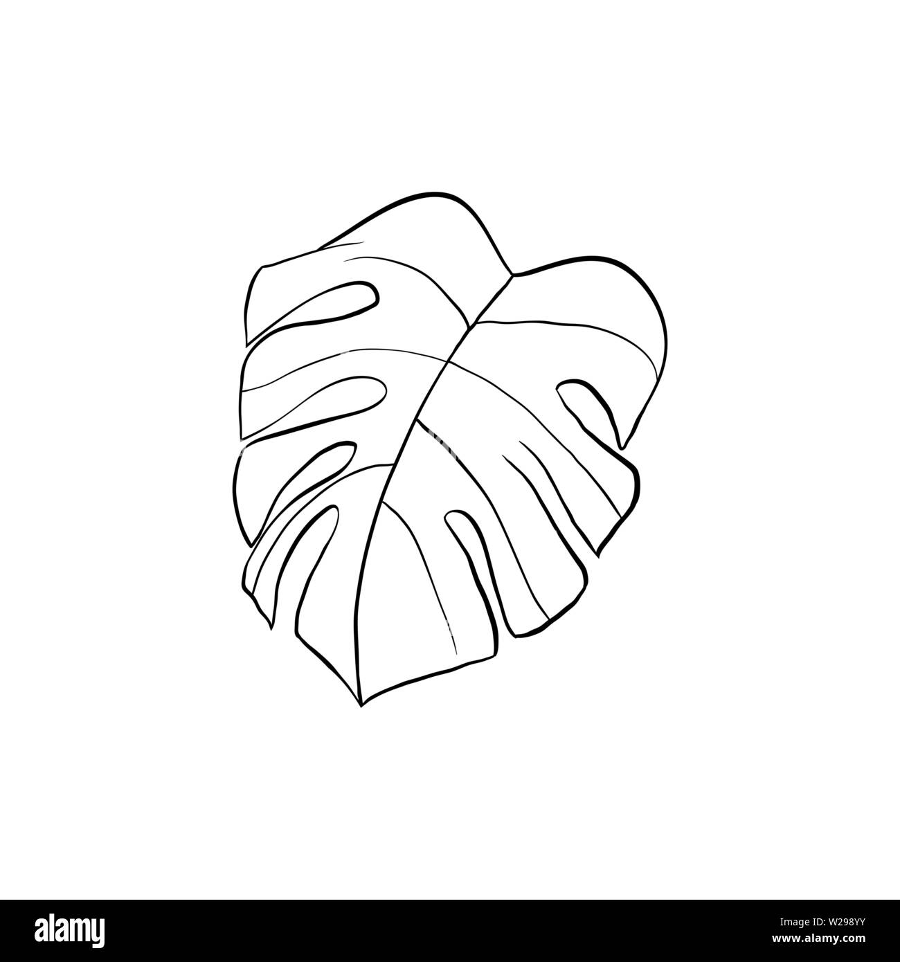 Philodendron plant line art illustration. Houseplant split leaf hand drawn drawing. Silver cloud, monstera leafage ink pen sketch. Decorative plant design elements. Botanical coloring book clipart Stock Vector