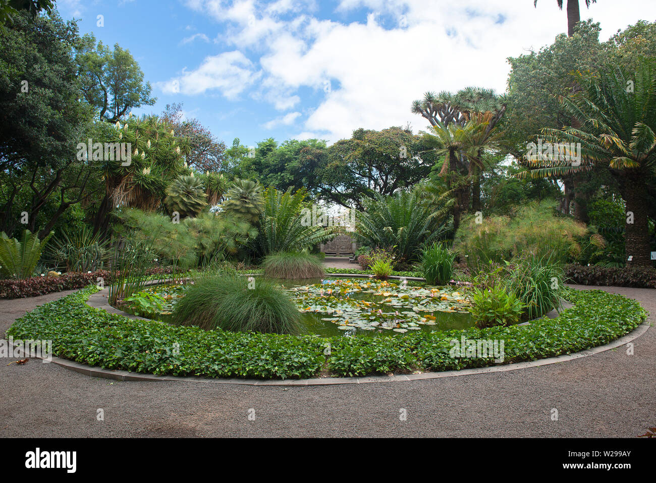 Botanical garden of Puerto de la Cruz, Tenerife, Spain Stock Photo - Alamy