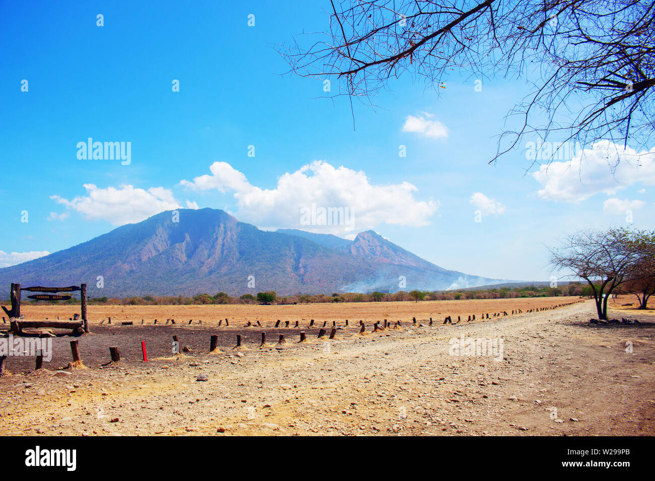 Landscape of Mountain, Blue Sky,Dry Grass and Dry Branch Stock Photo