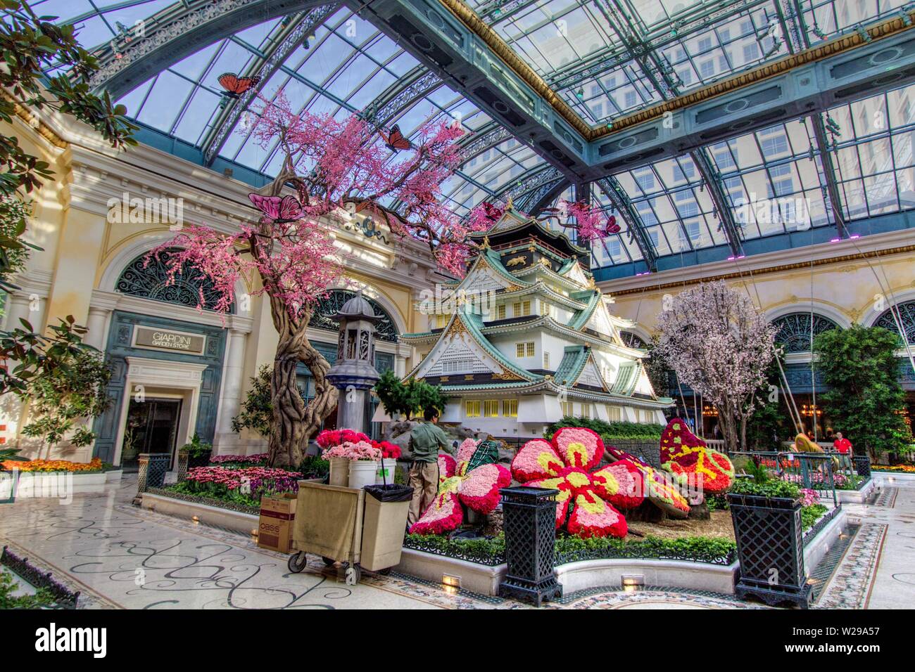Spring floral display at the Bellagio Casino and Resort conservatory garden. The garden features seasonal floral displays that change with the seasons Stock Photo