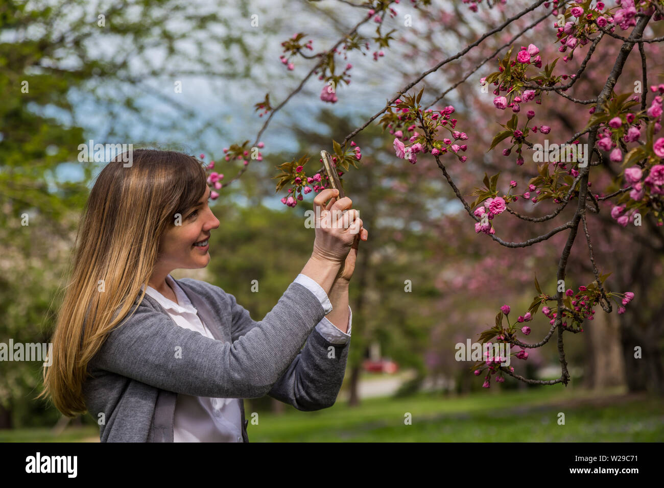 Girl cherry blossom trees hi-res stock photography and images - Alamy