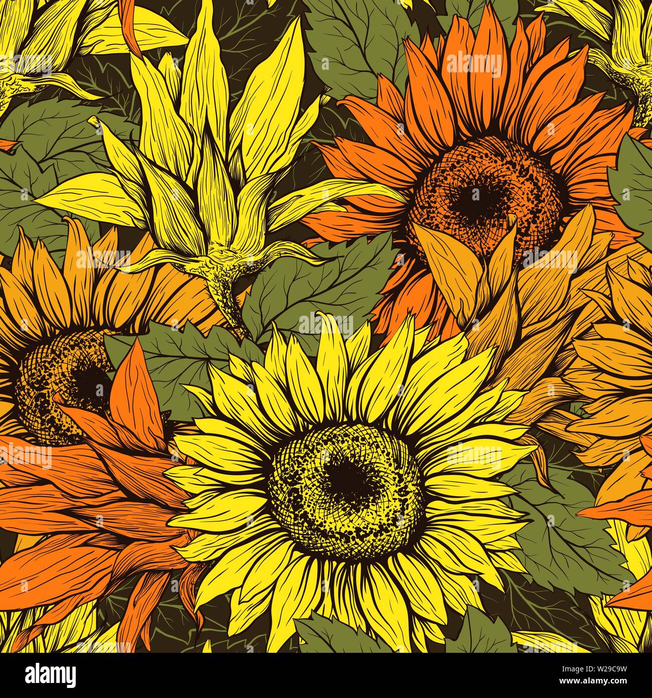 Color Realistic Sunflower Drawing, HD Png Download , Transparent Png Image  - PNGitem