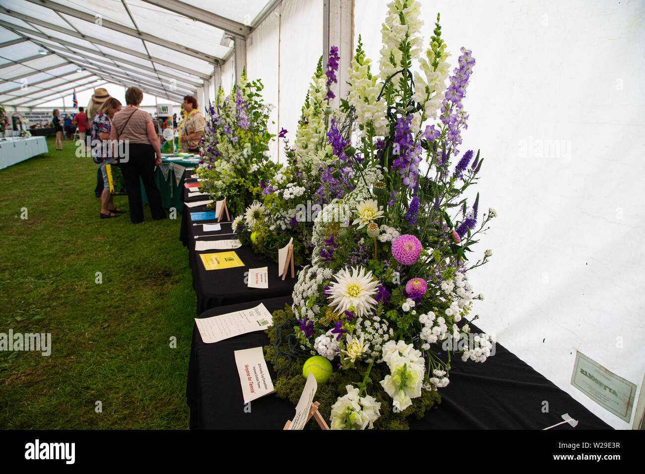 90th Kent County Show, Detling, 6th July 2019. Finalists for the Women's  institute Tennis themed flower show with varied floral arrangements Stock  Photo - Alamy