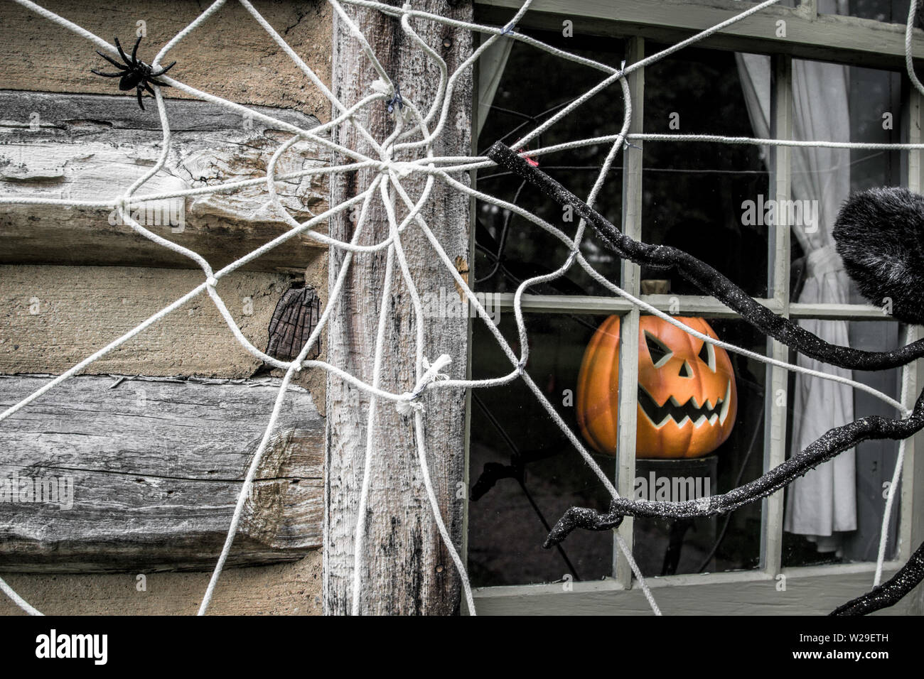 Halloween Background. Jack O Lantern and spider web decorations on exterior wall of home. Stock Photo