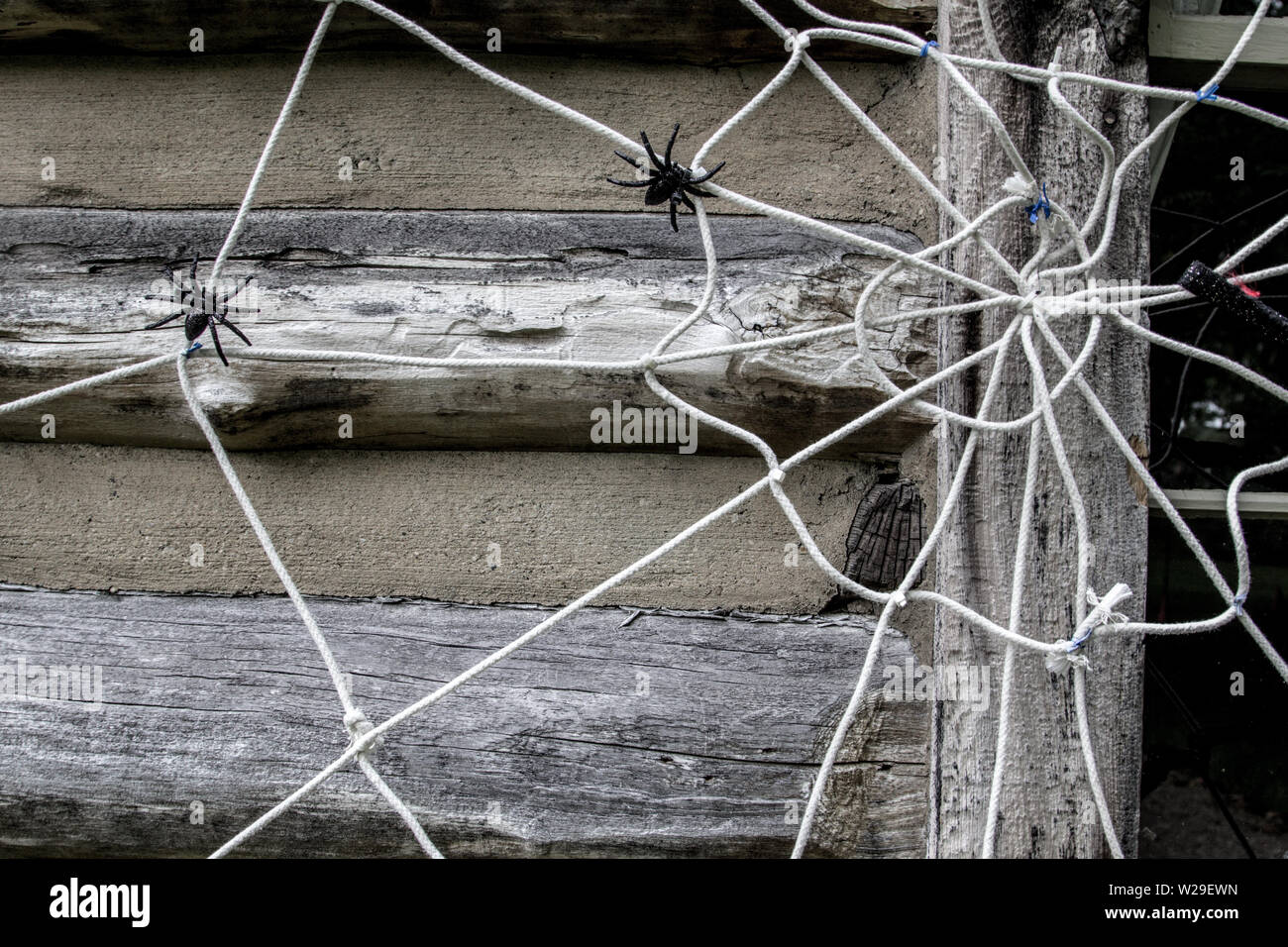 Homemade Do It Yourself Halloween Decoration. Spider web made of old clothesline on exterior of home Stock Photo