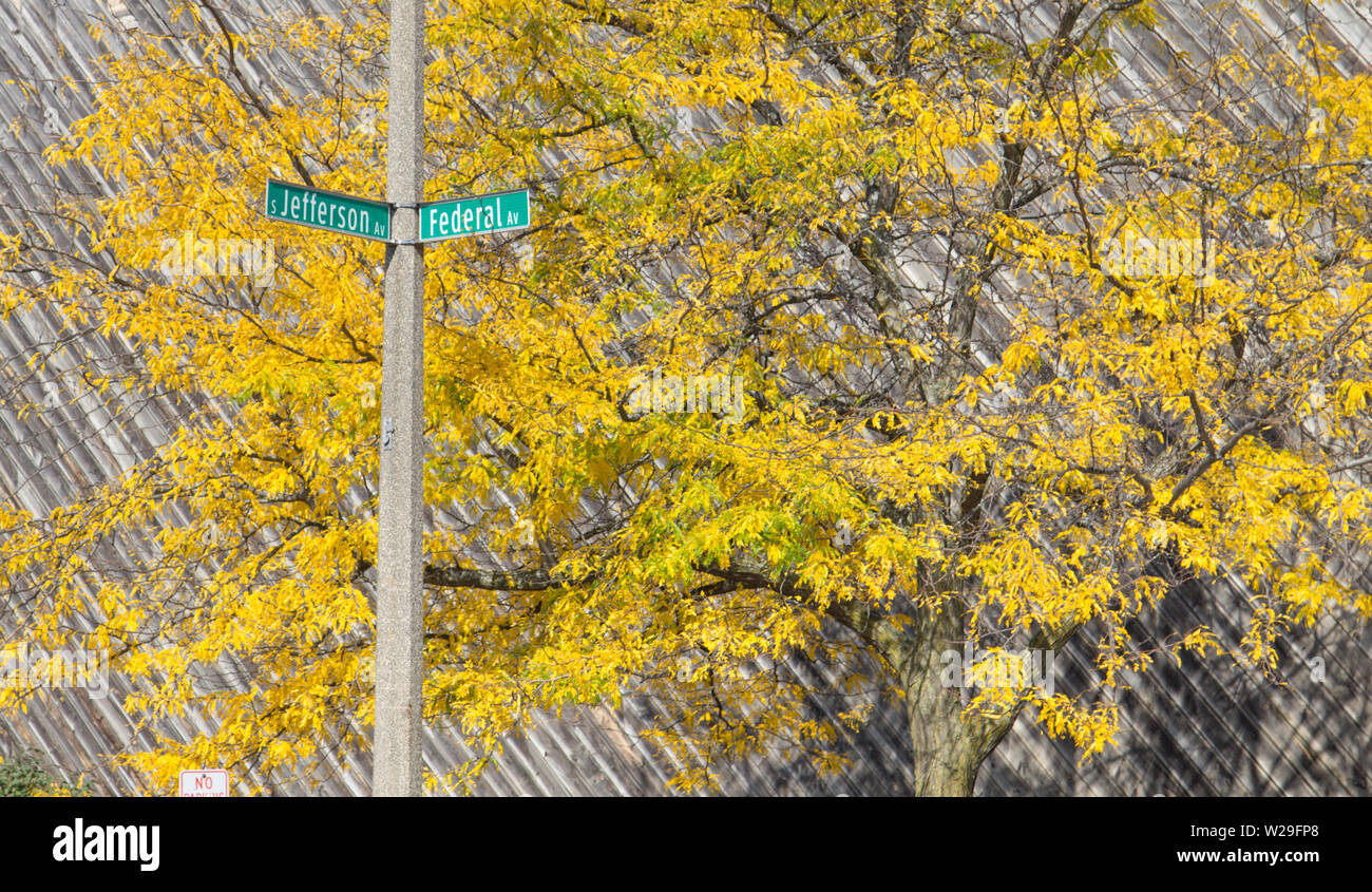 Downtown crossroads of Saginaw, Michigan with vibrant autumn foliage in the background Stock Photo