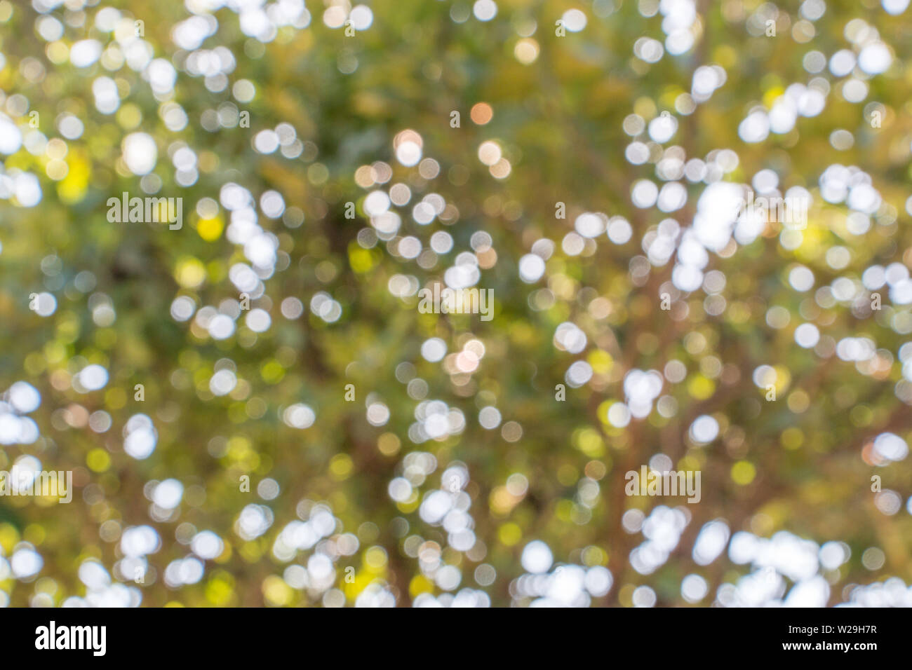 Funky bokeh hi-res stock photography and images - Alamy