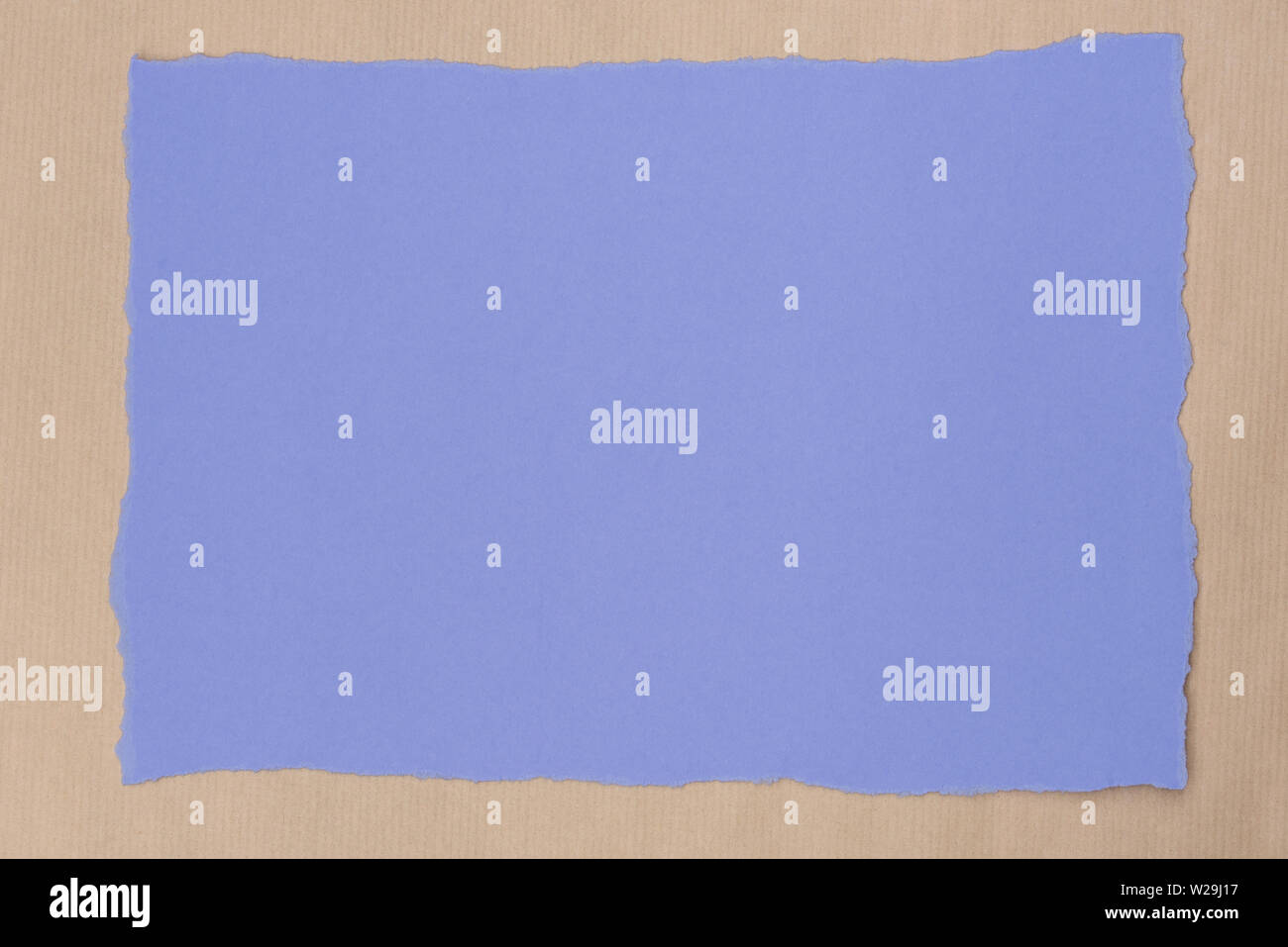 Violet Ripped Paper violet color piece of torn paper on recycled paper background texture ...