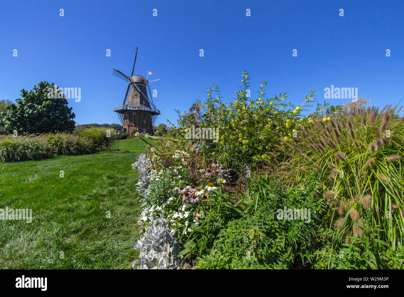 The oldest working authentic Dutch windmill in America is located in Holland, Michigan It is the centerpiece Tulip Time Festival which draws thousands. Stock Photo