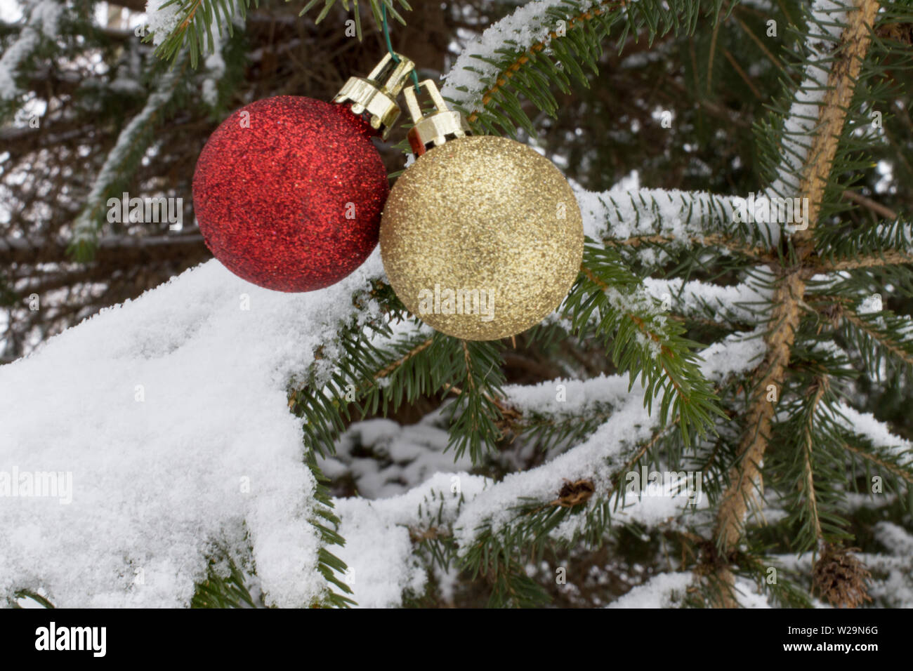 Christmas Tree Background. Red and gold Christmas bulbs outdoors an a