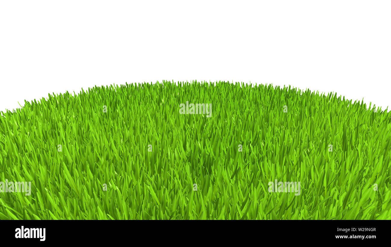 Rendering green grass on ground hi-res stock photography and images - Alamy