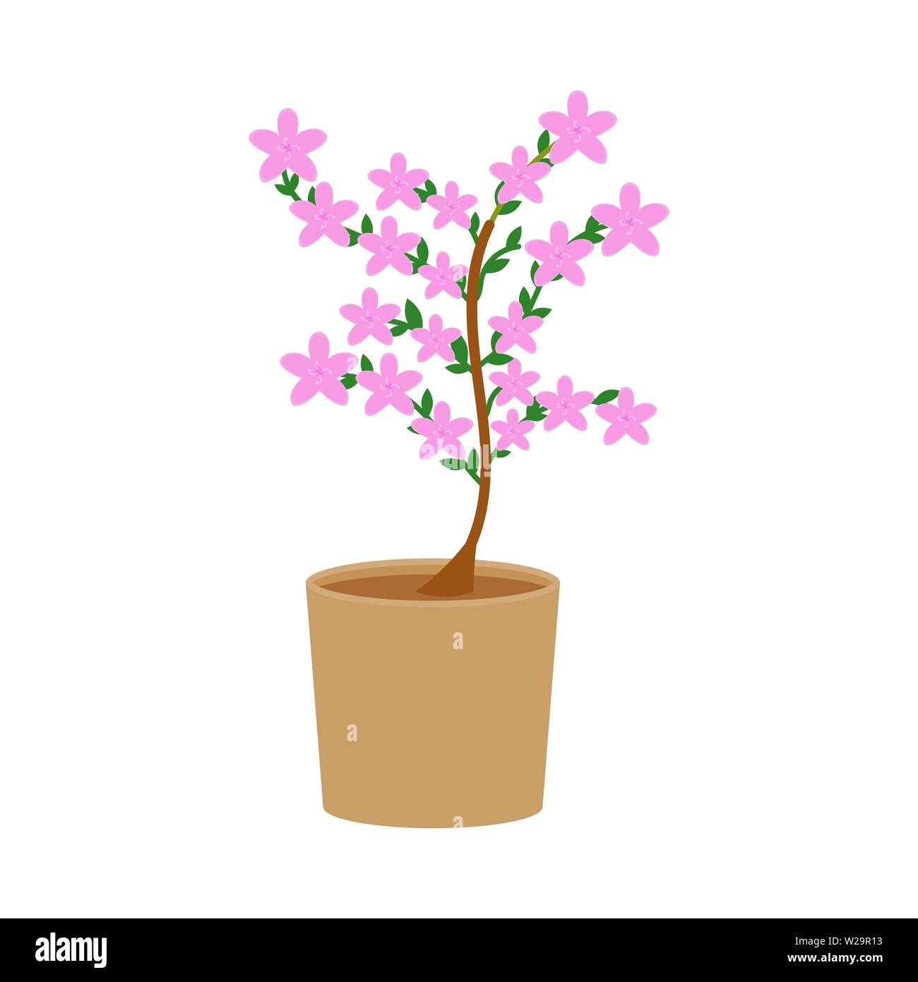 Grow growing flowering plant plants Stock Vector Images - Alamy