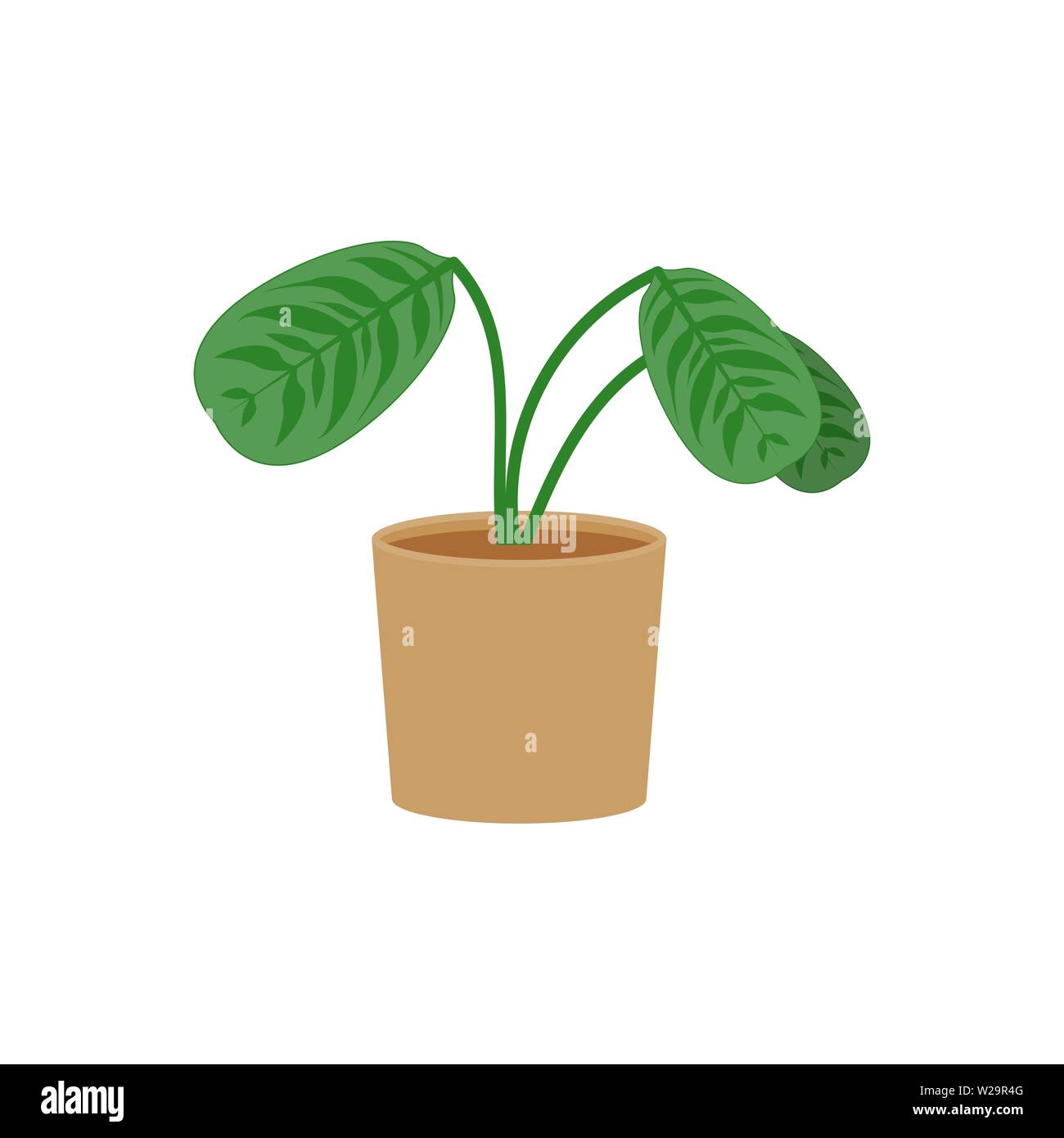 Ctenanthe potted flat icon, indoor plant, flower vector illustration isolated on white background Stock Vector