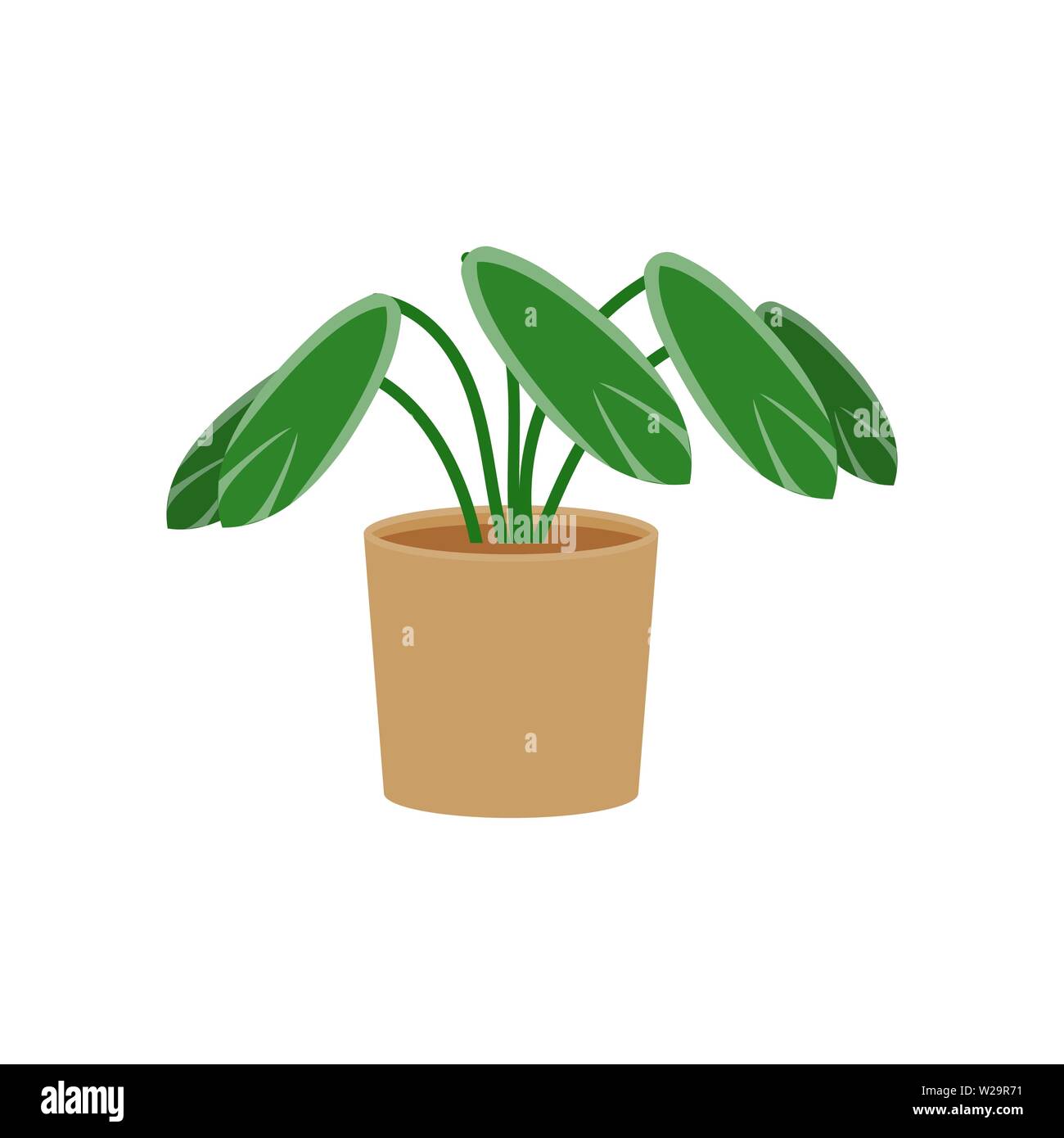 Stromanthe potted flat icon, indoor plant, flower vector illustration isolated on white background Stock Vector