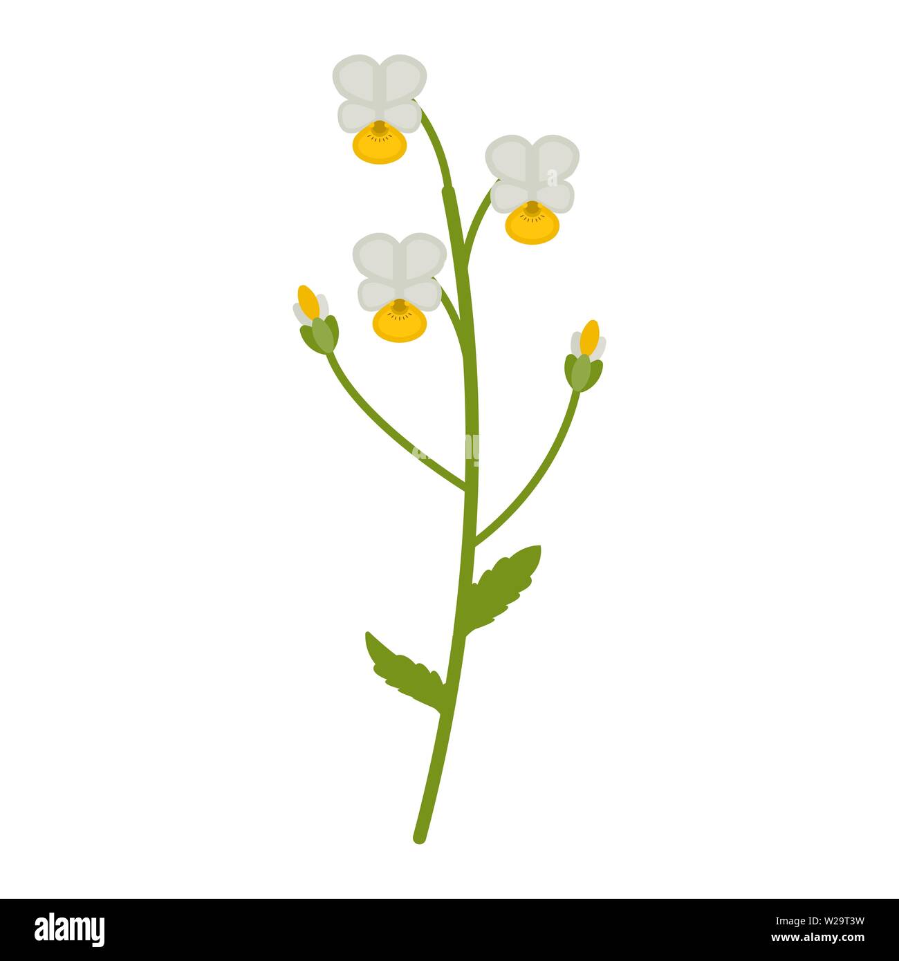 Field violet flower flat icon, wildflowers, plant vector illustration isolated on white background Stock Vector