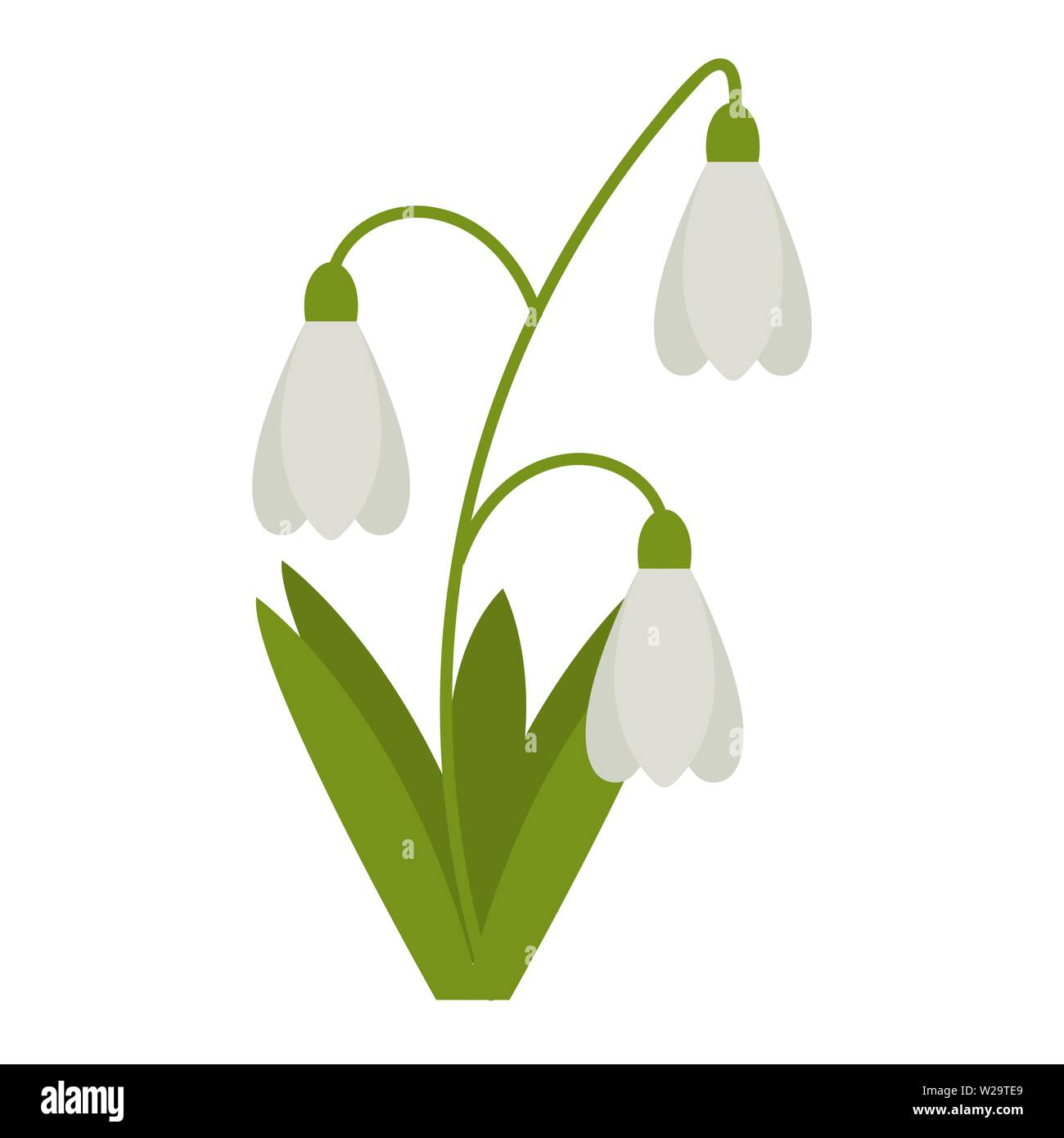 Snowdrops flower flat icon, wild flowers, plant vector illustration ...