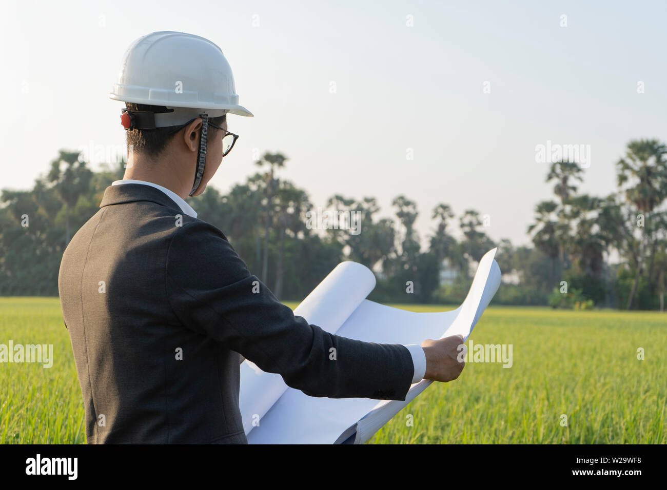 Businessmen look at the blueprints in the rice fields for a big project in the future. Stock Photo