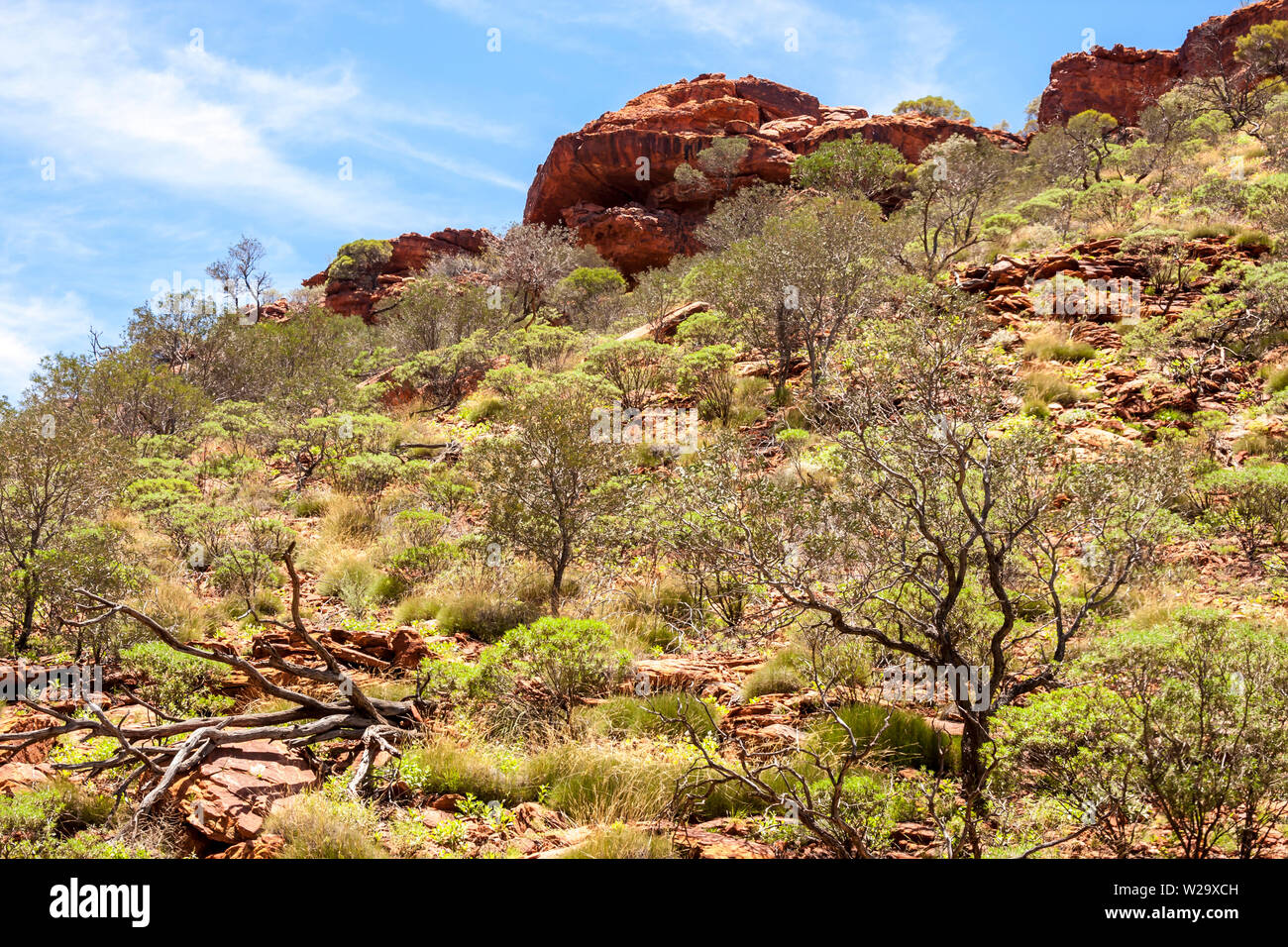 Australian outback desert, Kings Canyon, Northern Territory, Watarrka National Park, Australia Stock Photo
