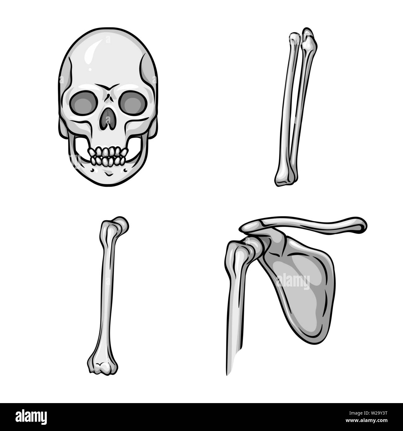 Vector Vectors Stock Vector Image & Art - Alamy