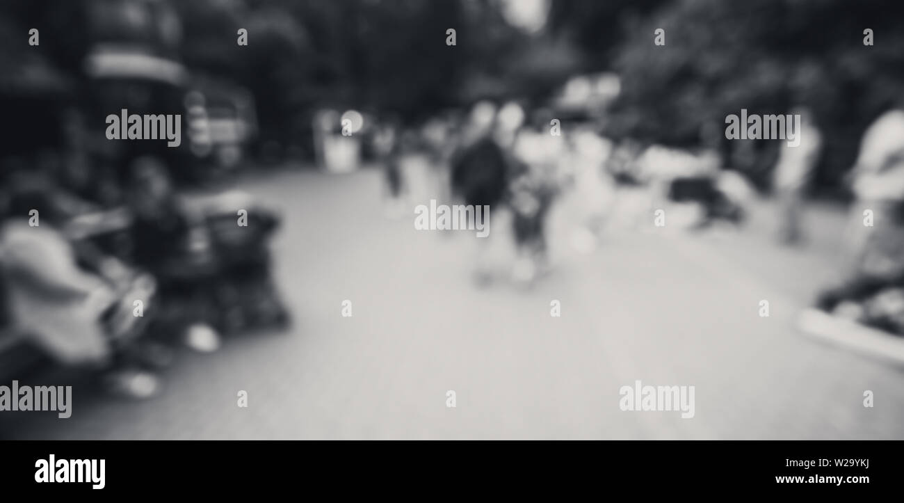 Tropical summer park black and white Stock Photo - Alamy