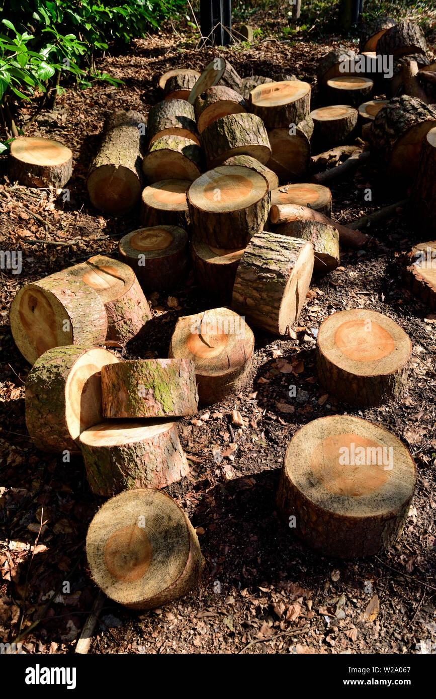 A pile of sawn logs. Stock Photo