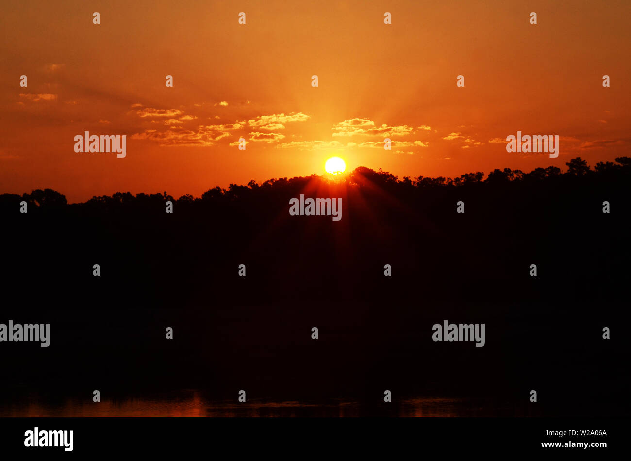 SOUTHERN PEACH SKIES A beautiful sunrise ascends above a forest off the