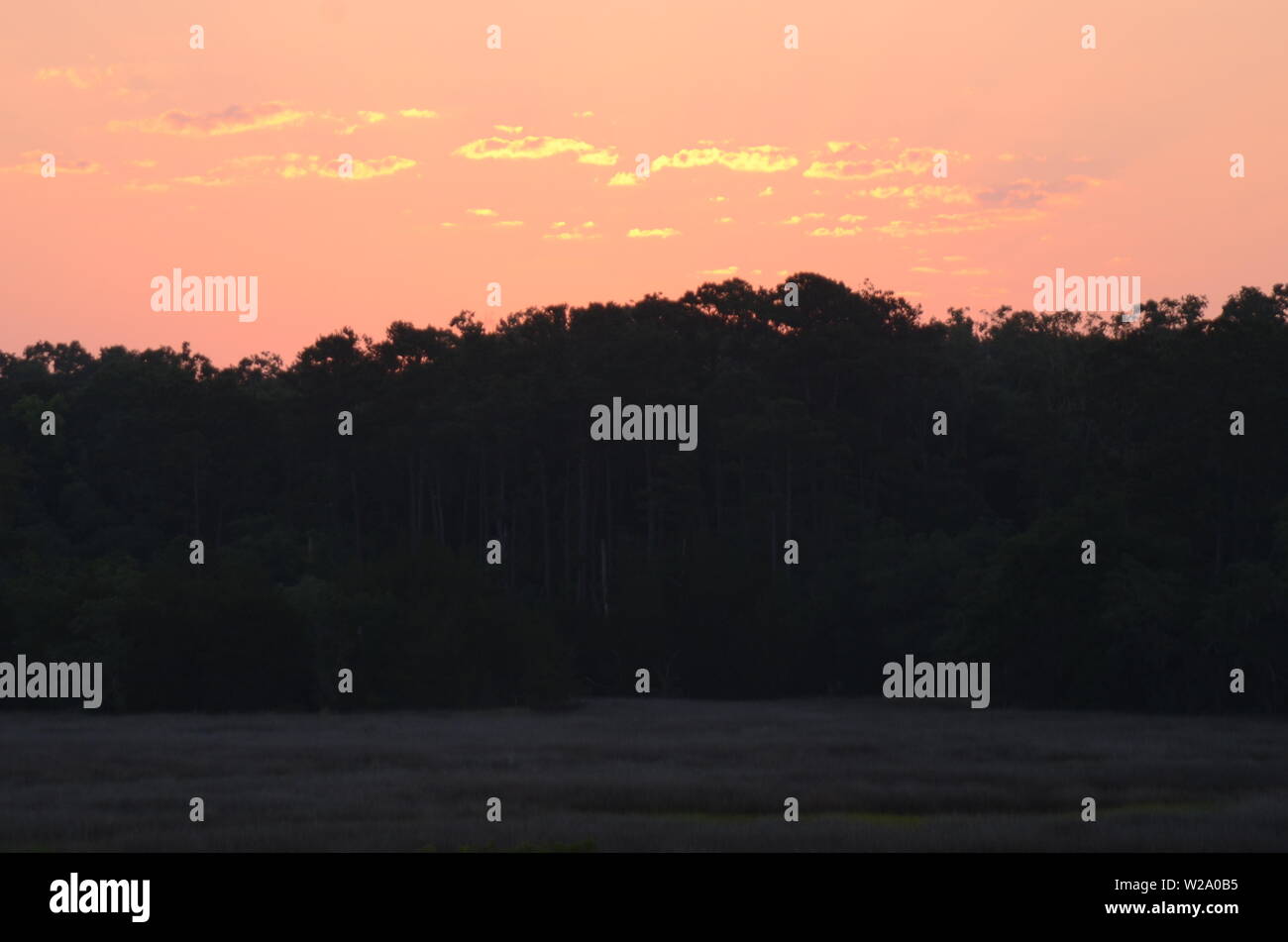 SOUTHERN PEACH SKIES A beautiful sunrise ascends above a forest off the