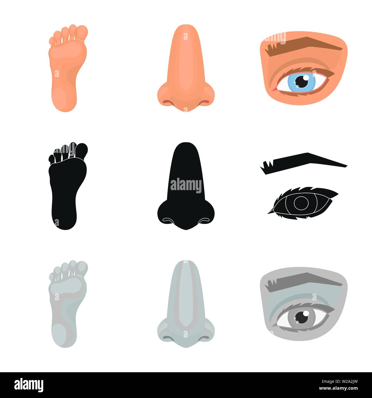 Isolated object of body and part sign. Collection of body and anatomy ...
