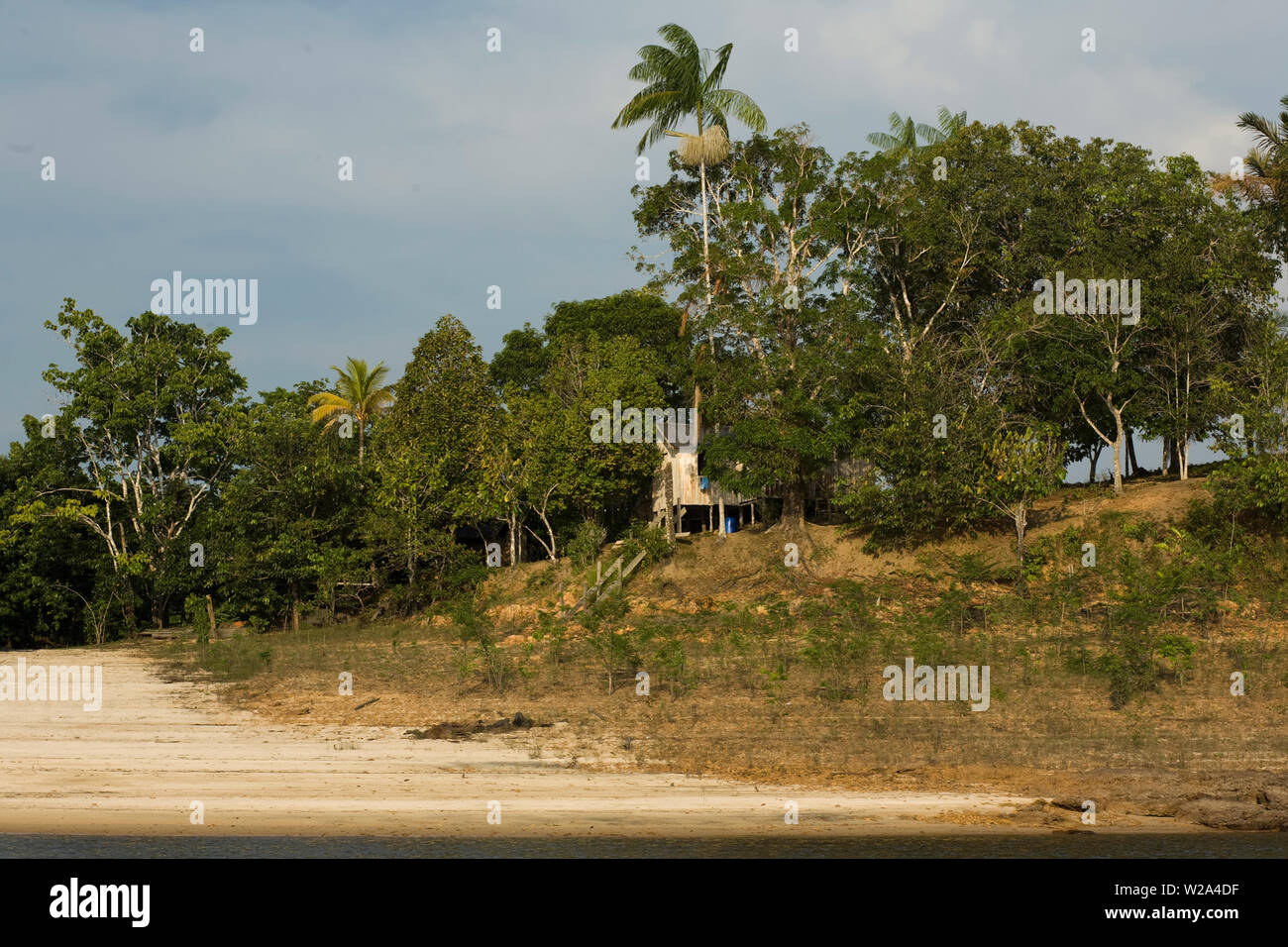 Riverine houses, Cuieiras River, Amazônia, Manaus, Amazonas, Brazil Stock Photo