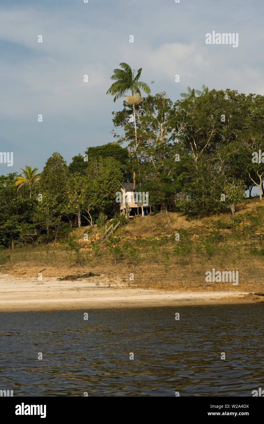 Riverine houses, Cuieiras River, Amazônia, Manaus, Amazonas, Brazil Stock Photo Alamy