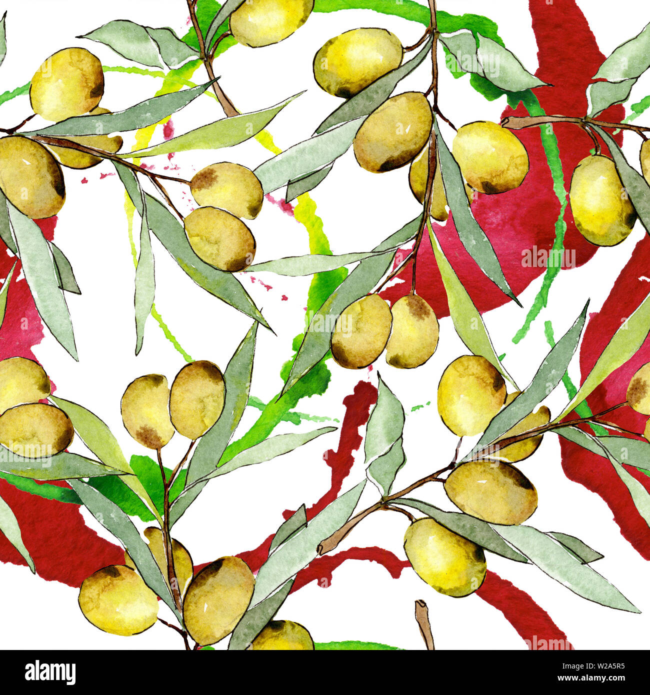 Olive branch with green fruit. Watercolor background illustration set ...