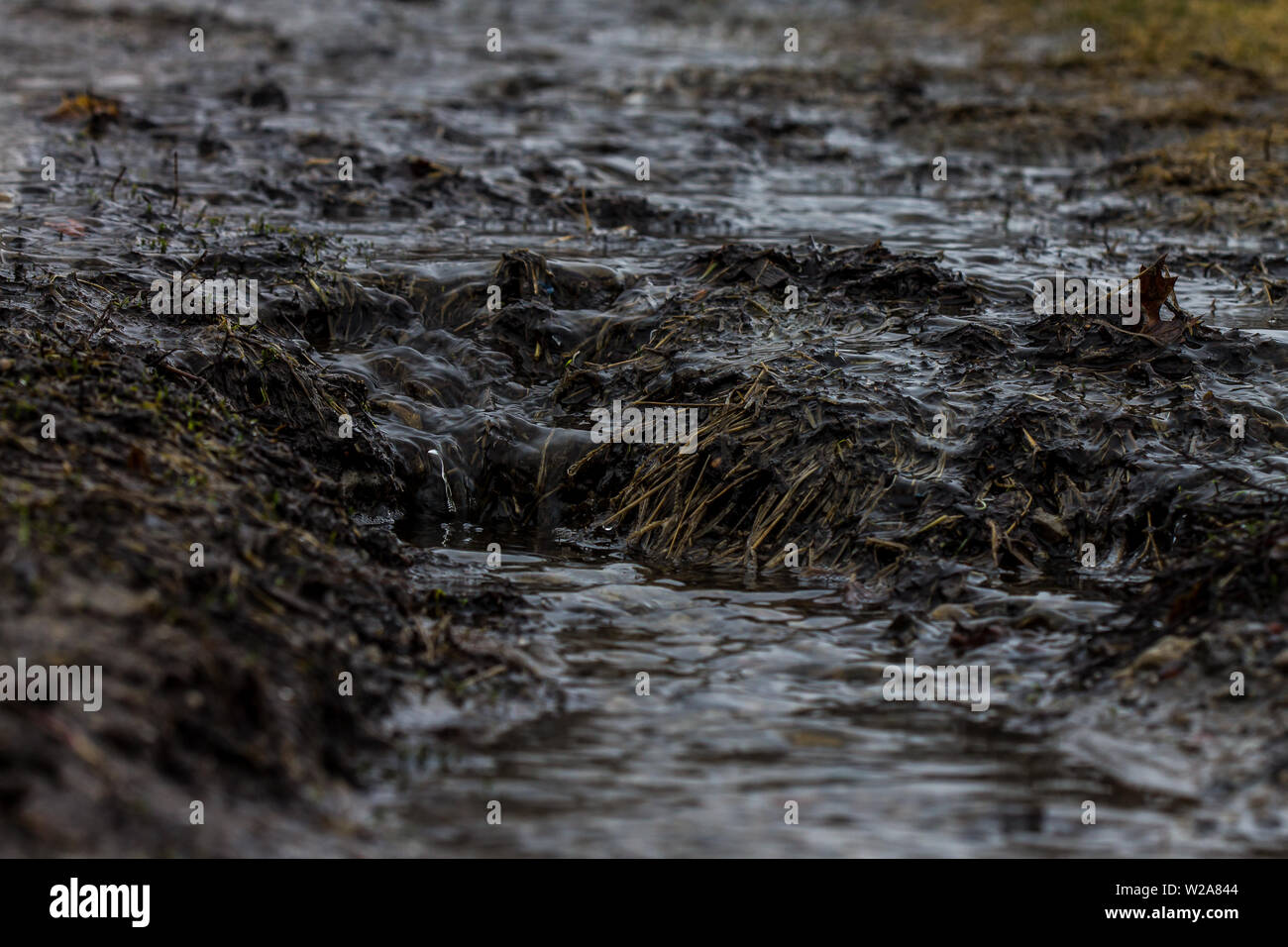 mud in the rain creating mini waterfall and river Stock Photo - Alamy