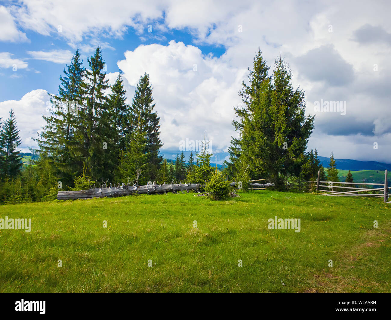 Mountain scenery fir tree forest village hi-res stock photography and ...