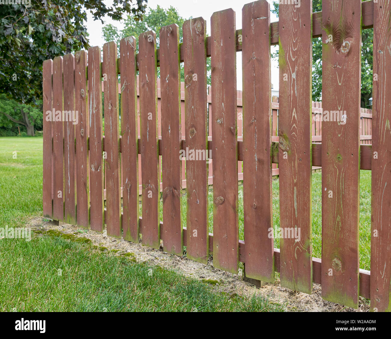 Wooden privacy fence in backyard with peeling paint and stain. Green algae, mildew, moss on fence boards Stock Photo