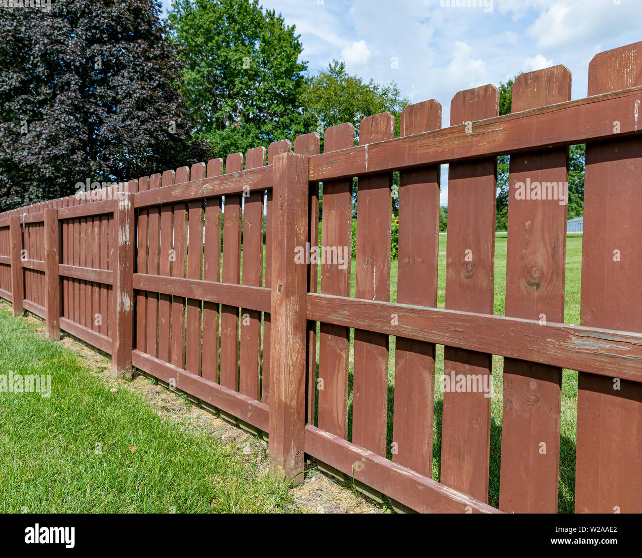 Wooden privacy fence in backyard with peeling paint and stain. Green