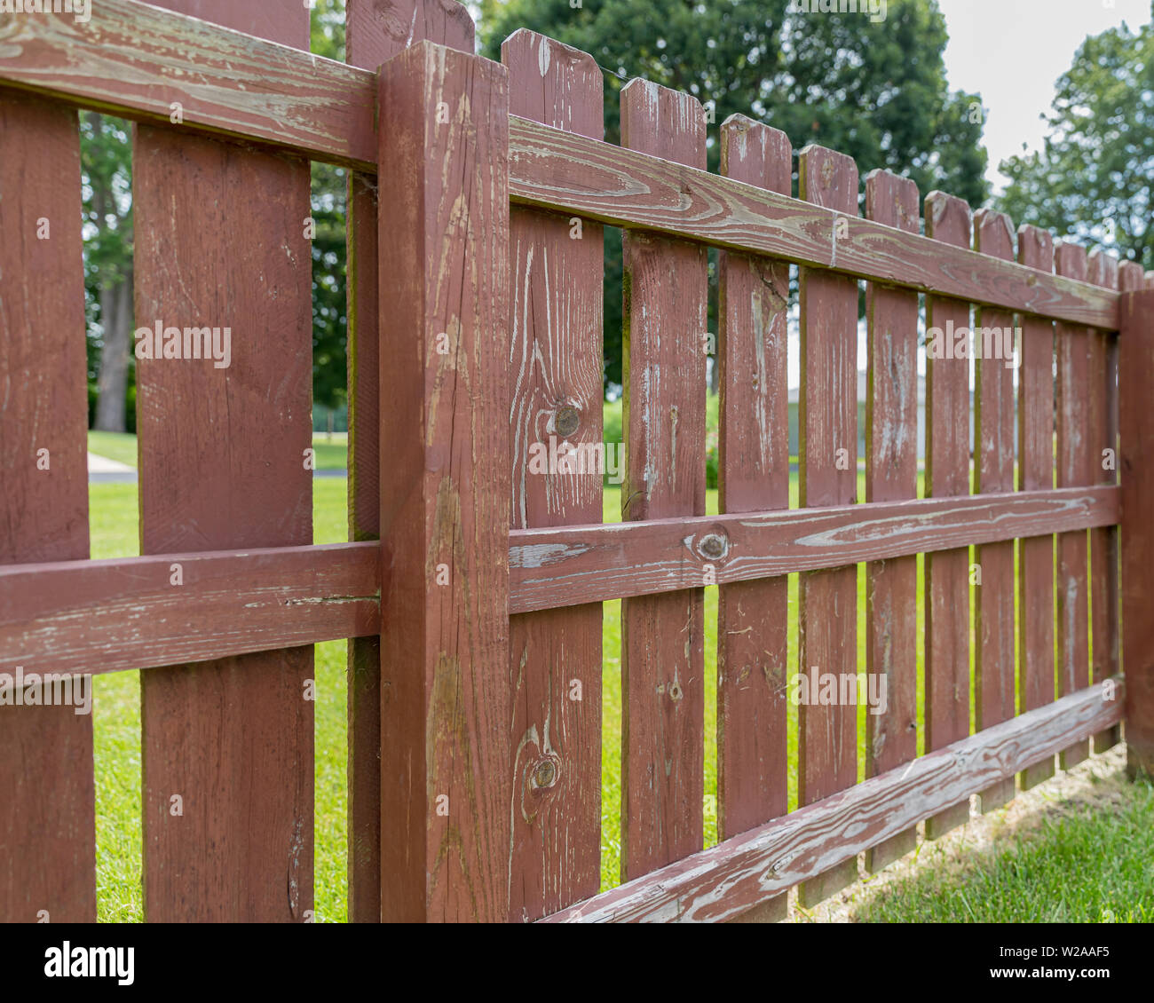 Wooden privacy fence in backyard with peeling paint and stain. Green algae, mildew, moss on fence boards Stock Photo