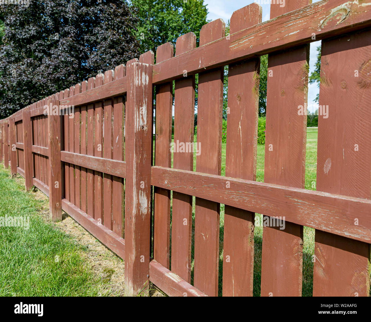 Wooden privacy fence in backyard with peeling paint and stain. Green algae, mildew, moss on fence boards Stock Photo