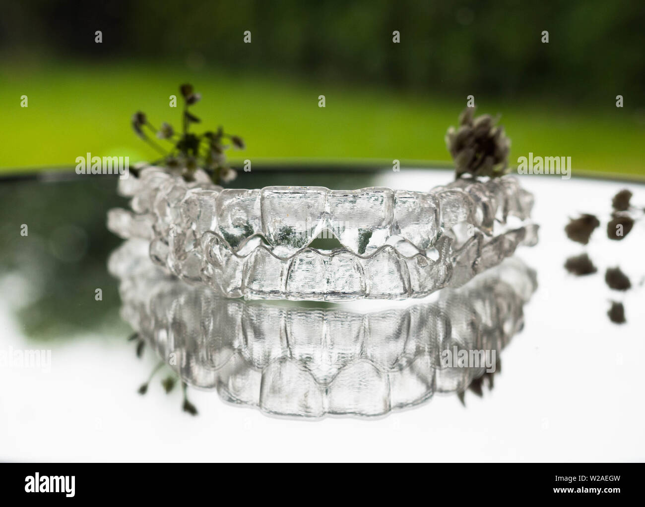 Stomatology concept, Invisalign orthodontics aligners, Invisible braces aligner. Mobile