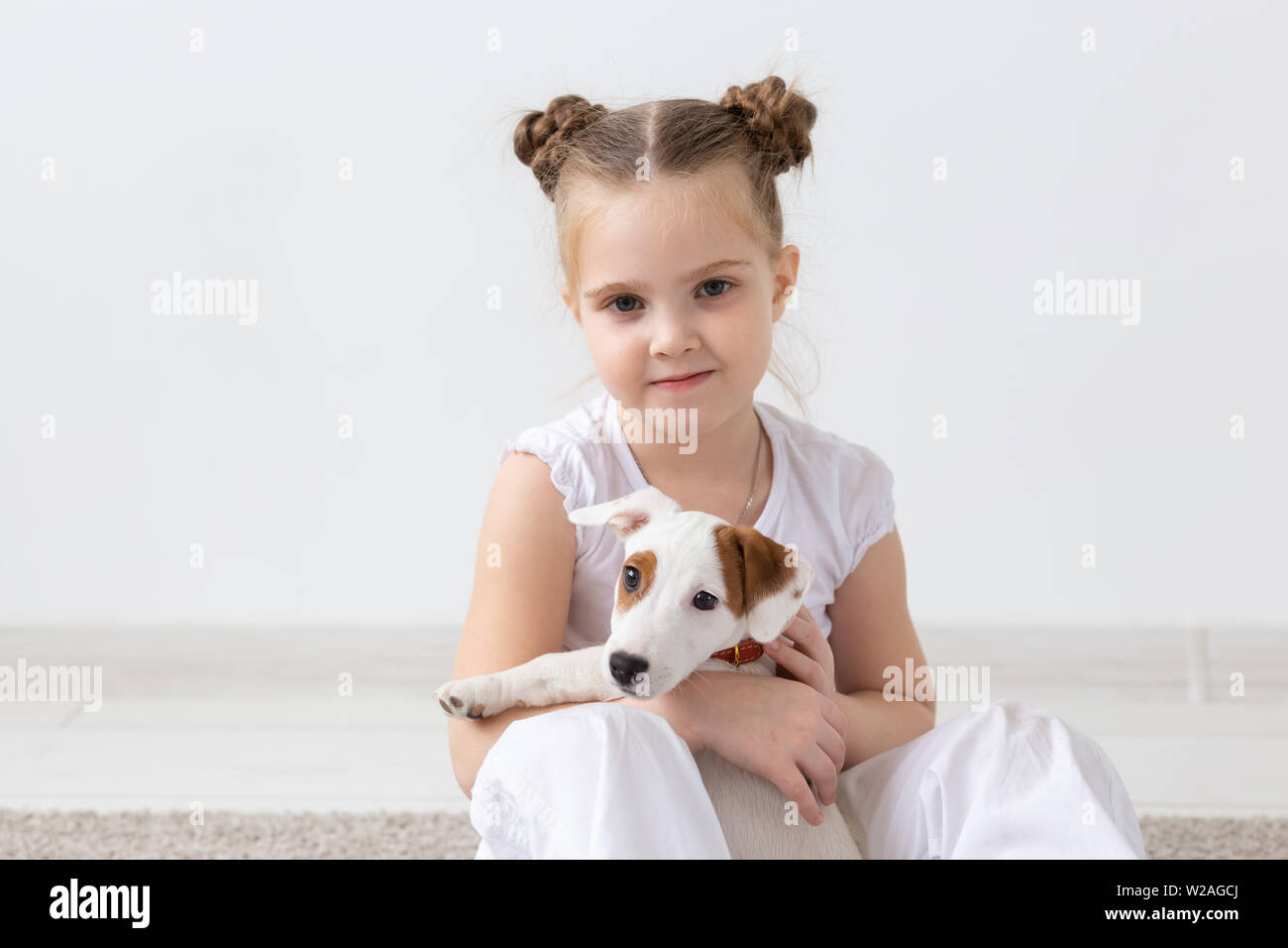 jack russell and children