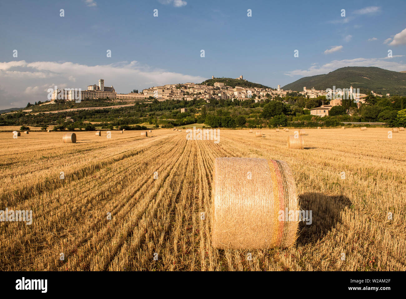 Assisi, Perugia, Umbria, Italy.  The sheaves of the wheat harvested with the beautiful round balers in a field under the Basilica of San Francesco Stock Photo