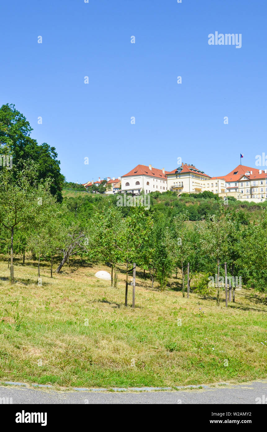 Vertical photo with green gardens on Petrin Hill in Prague, Bohemia, Czech Republic. Historical houses in background. Sunny day, blue sky. Famous tourist place and view point. Amazing European cities. Stock Photo