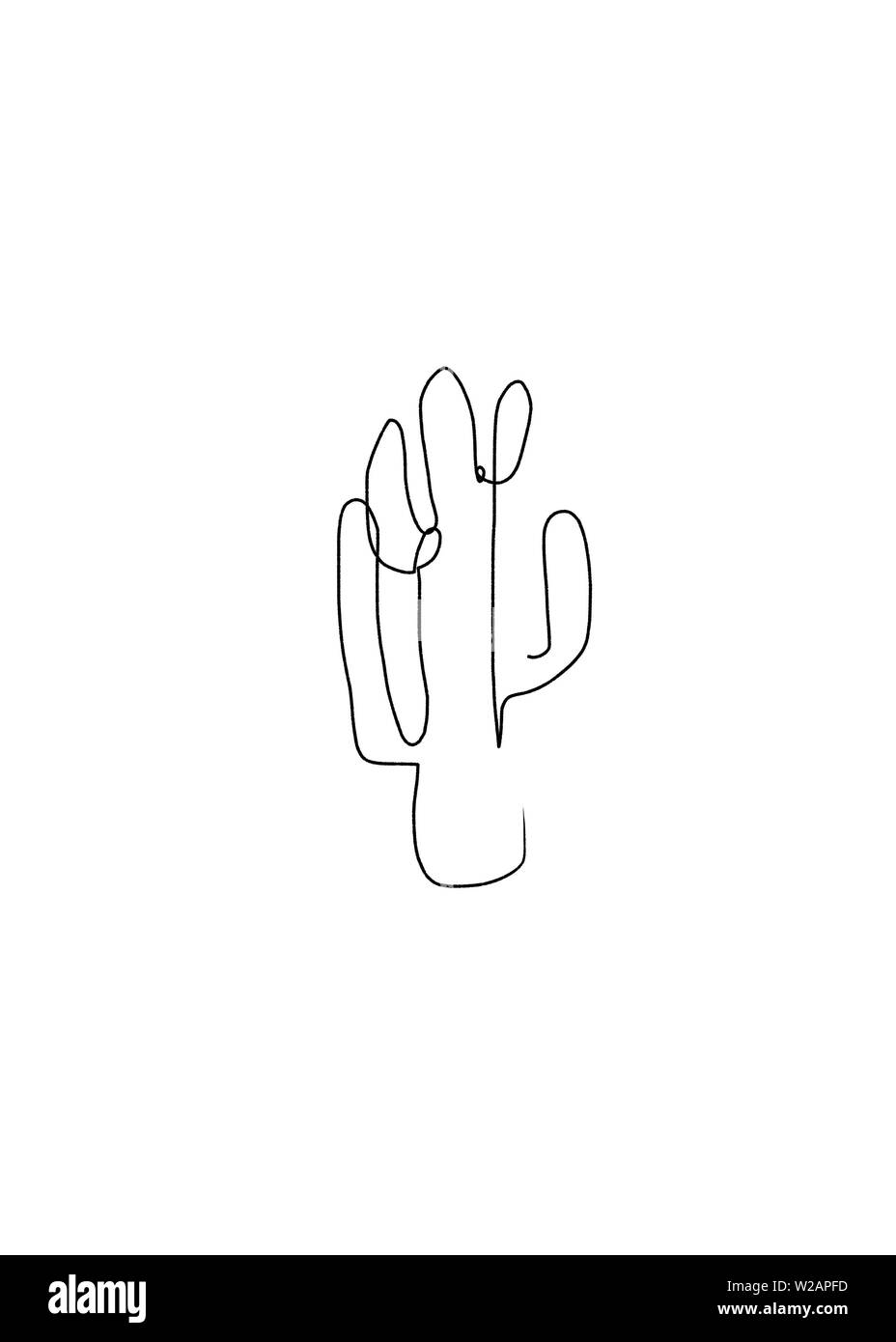 abstract line drawing of a cactus succulent house plant, art work of plants for private, commercial and editorial use. Abstract line drawing of a cact Stock Photo