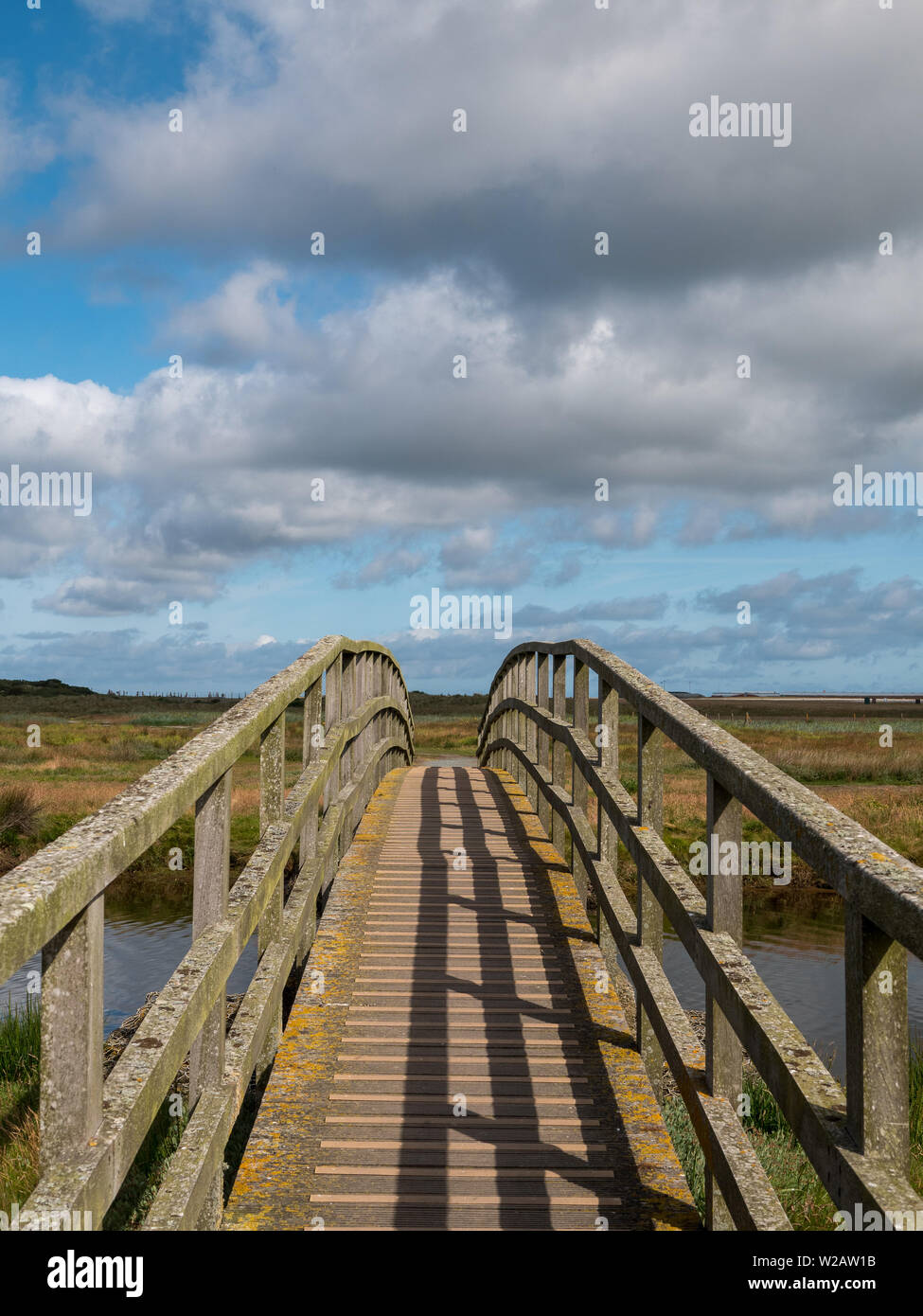 Wood bridge footbridge meadow hi-res stock photography and images - Alamy
