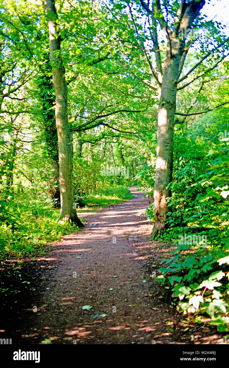 Course of the Stockton and Darlington Railway through Preston Park ...