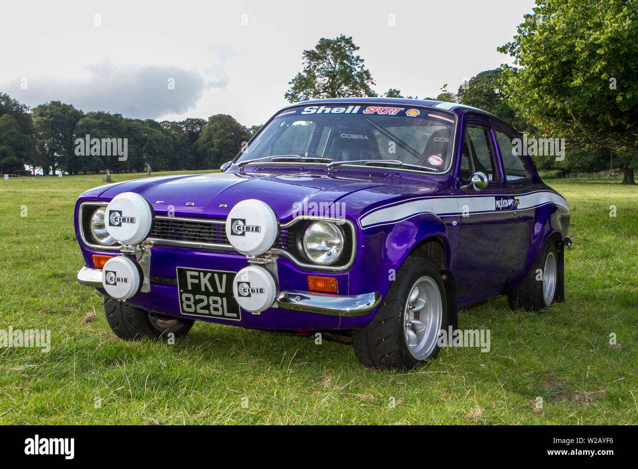 Motoring classics, historics, vintage motors and collectibles 2019