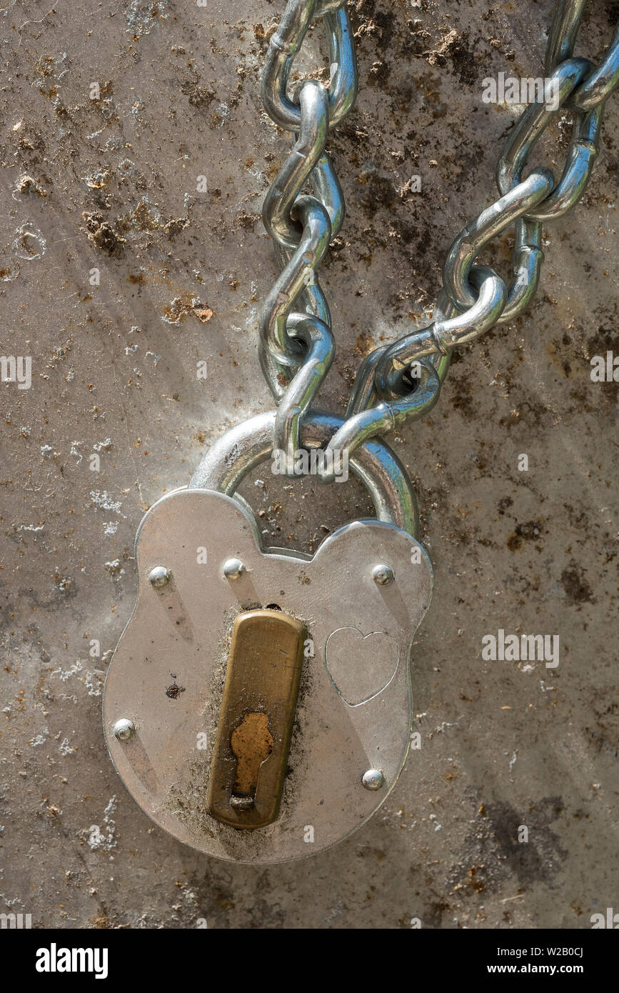 A heavy duty padlock securing a chain on a rusting metal background. Stock Photo