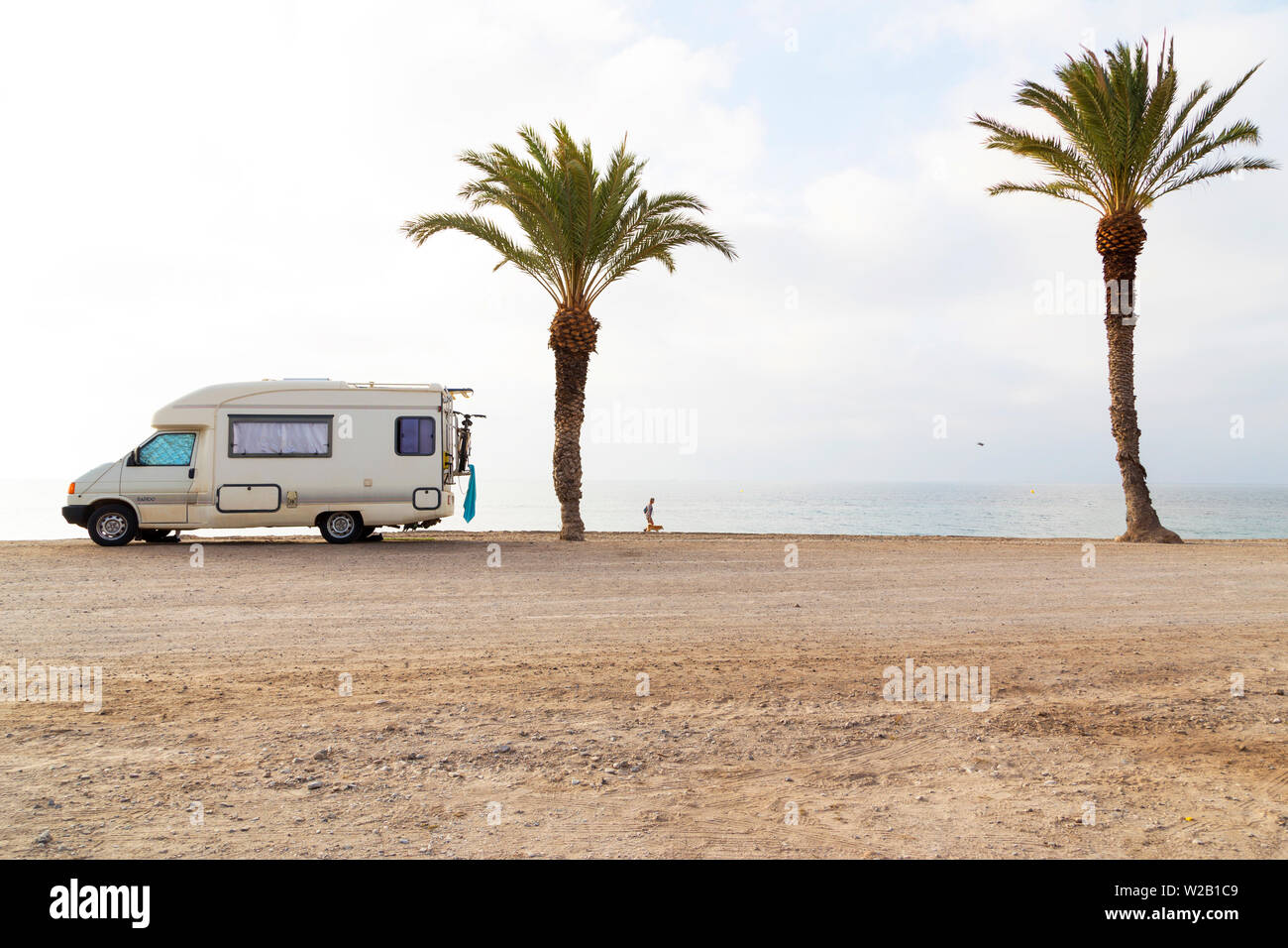 Person walking on beach with mobile caravan near two palm trees Stock Photo